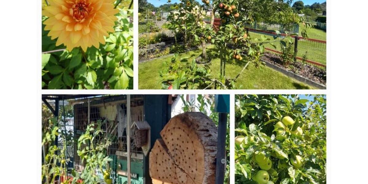 Grundstück Rostock Alt Bartelsdorf - 4.750&euro; | Angebot:26032094