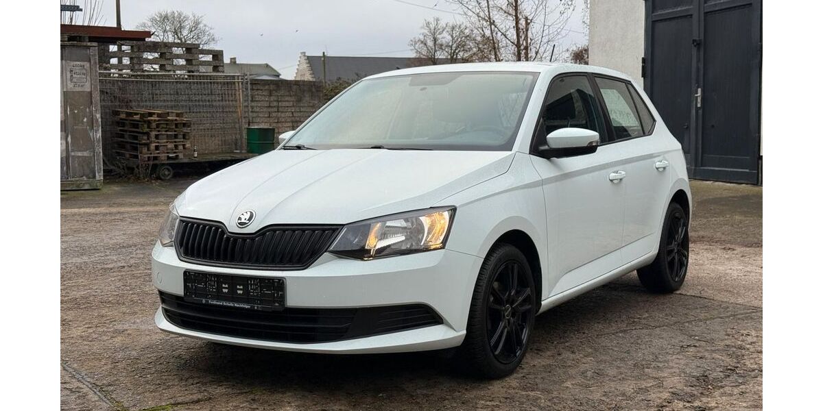 Skoda Fabia 197.000 km 5.990 &euro; Rostock 18119