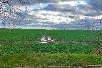 Grundstück Dummerstorf - 99.510&euro; | Angebot:26103943