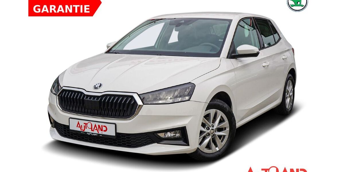 Skoda Fabia 39.782 km 15.950 &euro; Rostock 18146