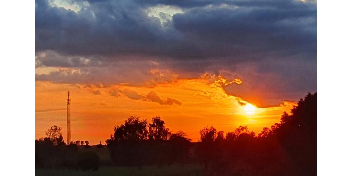 Einfamilienhaus Dummerstorf - 5 Zimmer, 176 m&sup2;, 395.000&euro; | Angebot:26096912