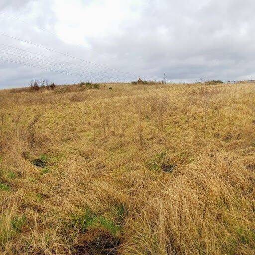 Grundstück Rostock Südstadt - 865.900&euro; | Angebot:19287774