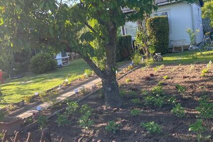 Grundstück Rostock Gehlsdorf - 3.700&euro; | Angebot:25373896