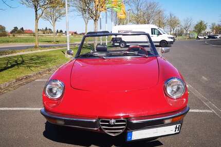 Alfa Romeo Spider 110.000 km 21.750 &euro; Bentwisch 18182