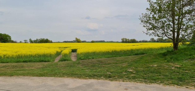RIESIGES FREIZEITGRUNDSTÜCK