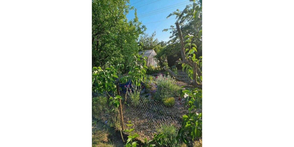 Grundstück Rostock Hansaviertel - 2.800&euro; | Angebot:26677694