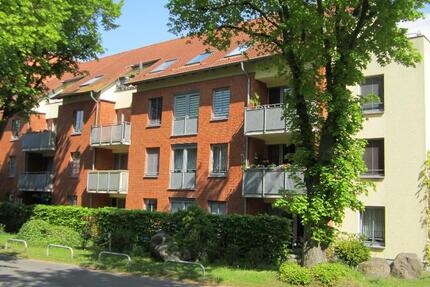 Wohnung Papendorf - 1 Zimmer, 41 m&sup2;, 425&euro; | Angebot:26251252