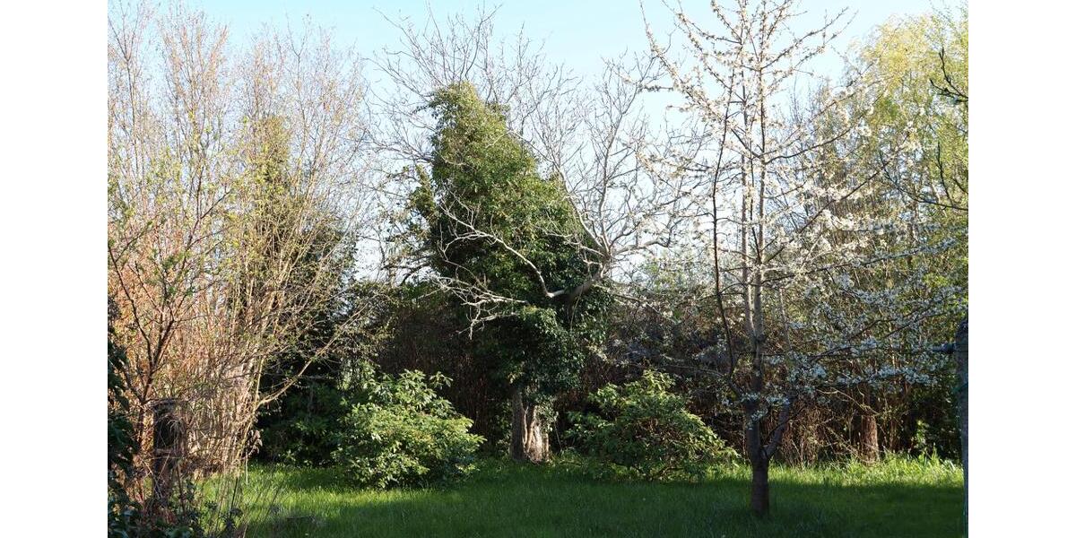 Einfamilienhaus Ribnitz-Damgarten Damgarten - 4 Zimmer, 130 m&sup2;, 65.000&euro; | Angebot:26803295