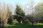 Einfamilienhaus Ribnitz-Damgarten Damgarten - 4 Zimmer, 130 m&sup2;, 65.000&euro; | Angebot:26803295
