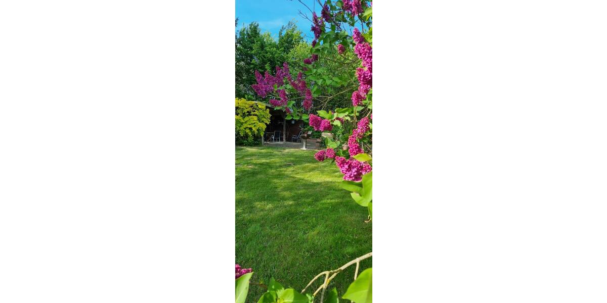 Ferienimmobilie Ribnitz-Damgarten Damgarten - 80&euro; | Angebot:26406430