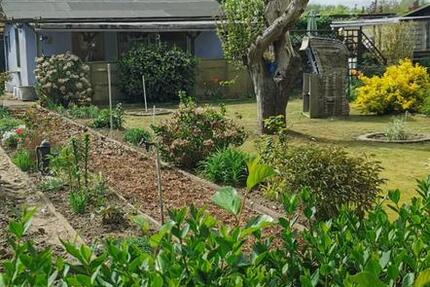 Grundstück Rostock Hansaviertel - 1.900&euro; | Angebot:23684774