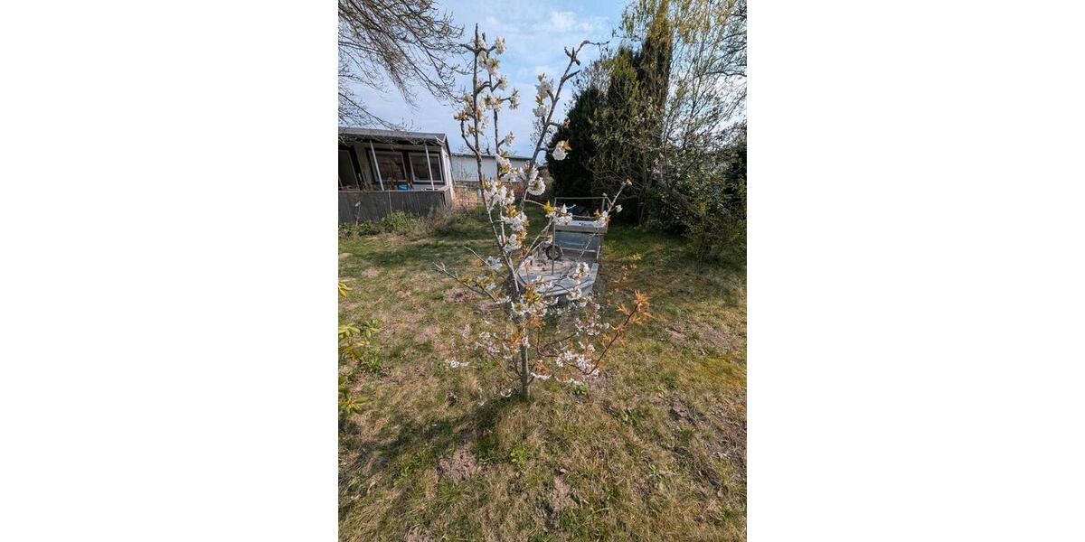 Grundstück Rostock Hansaviertel - 1.500&euro; | Angebot:26566631