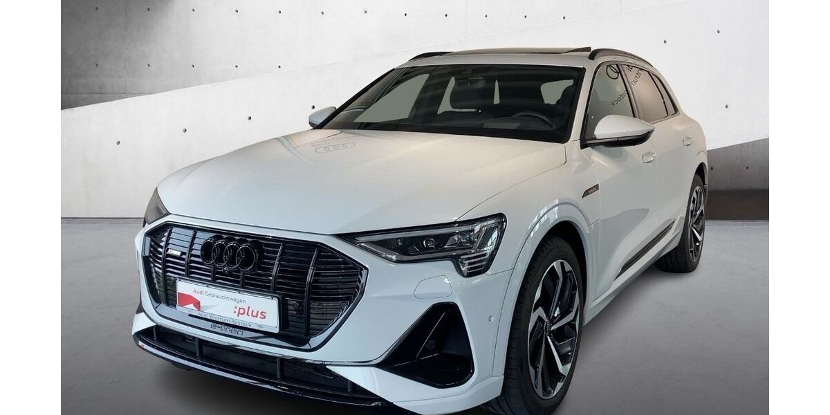 Audi e-tron 44.385 km 55.990 &euro; Rostock 18059