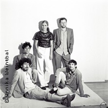 Dota - Springbrunnen - Tour 2026 16.01.2026 Arena Wien