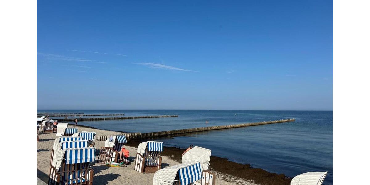 *VORERST BEWERBERSTOPP* 2 zimmer