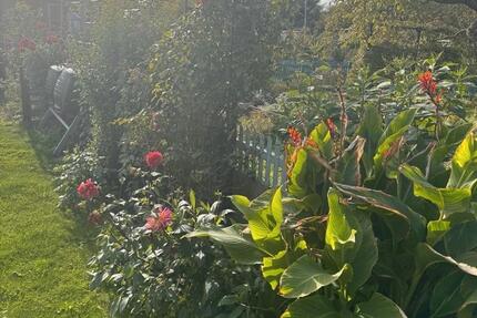 Grundstück Rostock Evershagen - 3.000&euro; | Angebot:24653546