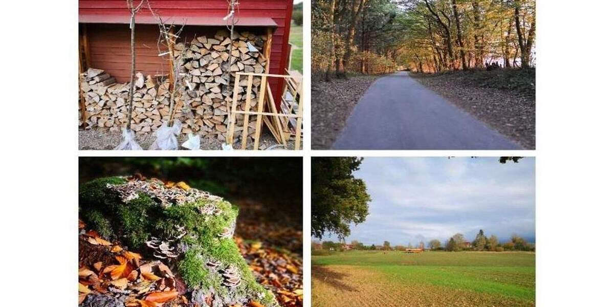 Grundstück Satow Miekenhagen - 320.000&euro; | Angebot:25716425