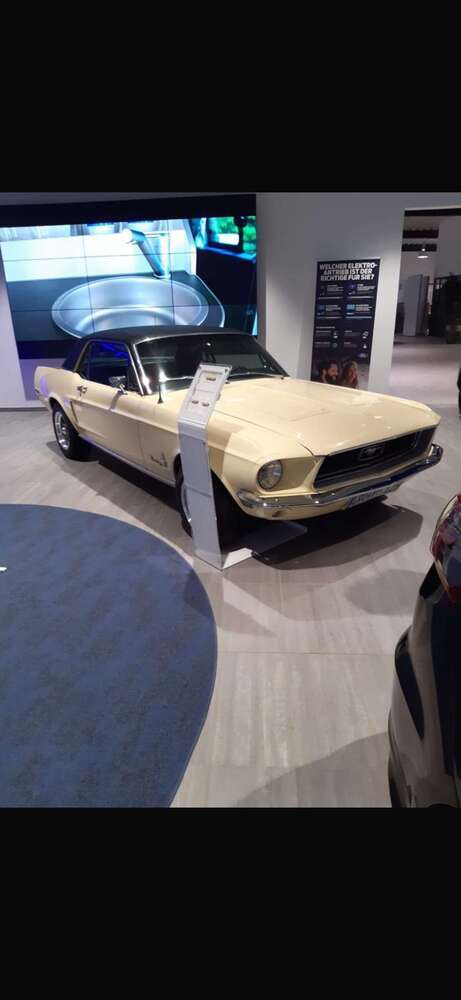 Mustang