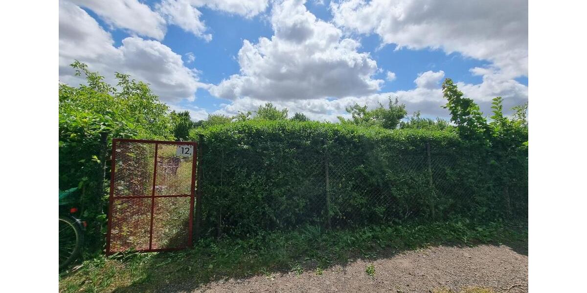 Grundstück Papendorf - 750&euro; | Angebot:25456981