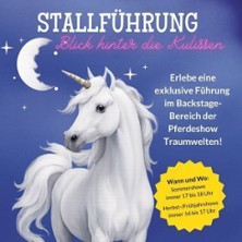 Stallführung - Blick hinter die Kulissen | Erlebnisreiterhof Bernsteinreiter