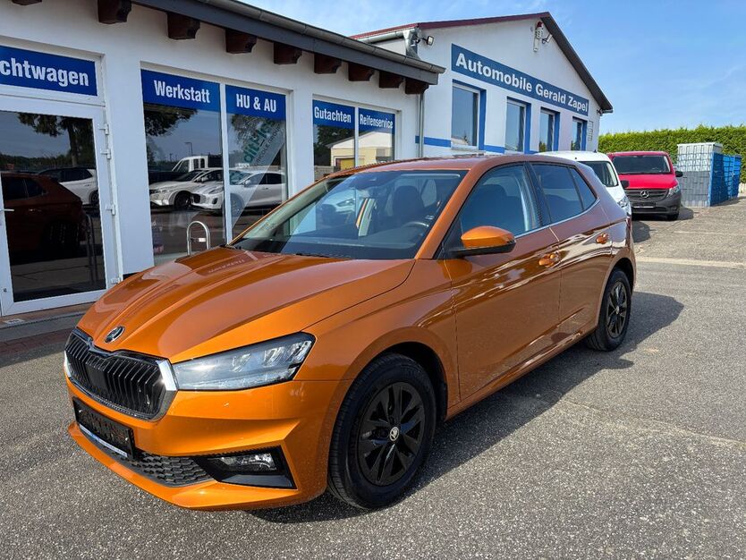 Skoda Fabia 13.792 km 19.990 € Tessin 18195