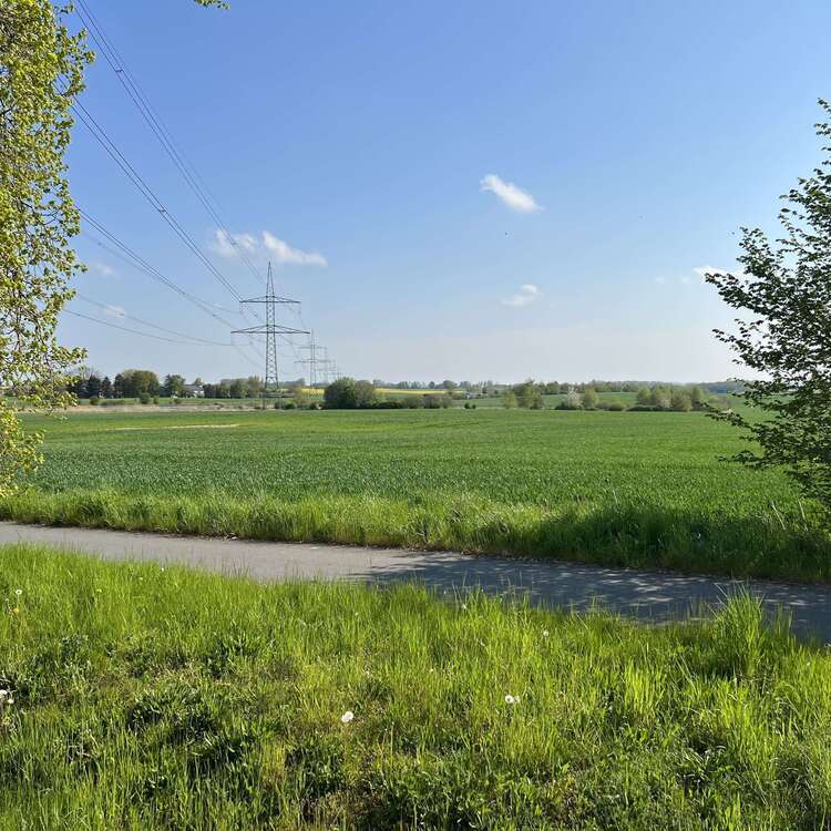 Grundstück in Pölchow 19.900 € 3700 m²
