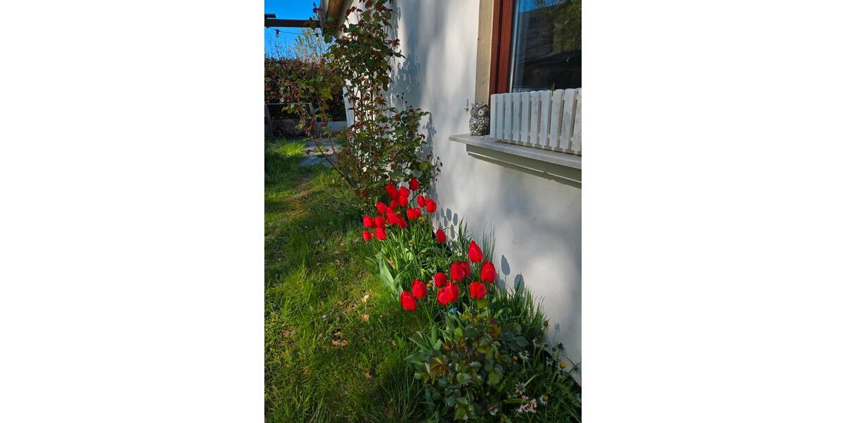 Grundstück Bad Doberan - 2.000&euro; | Angebot:26008037