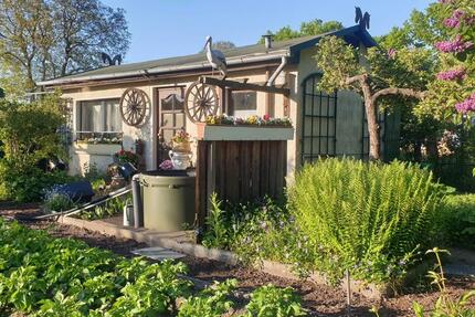 Kleingarten abzugeben zimmer