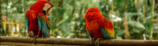 Zoo Rostock