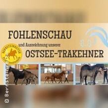 Fohlenschau der Ostsee-Trakehner