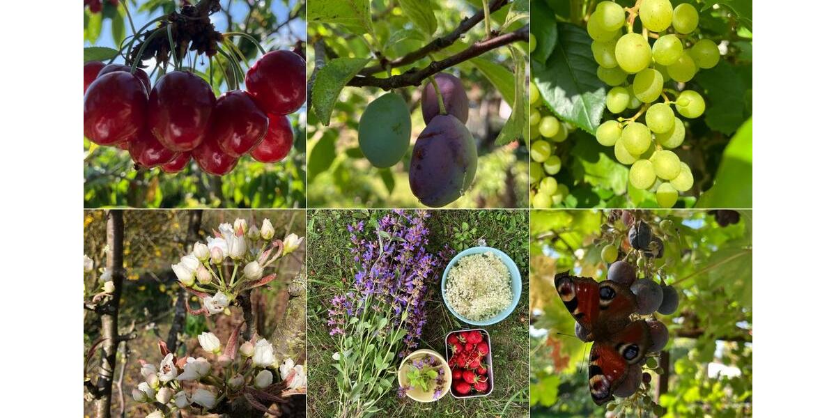 Grundstück Rostock - 7.000&euro; | Angebot:25256780