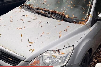 Ford Focus 317.702 km 589 &euro; Rostock-Warnemünde 18119