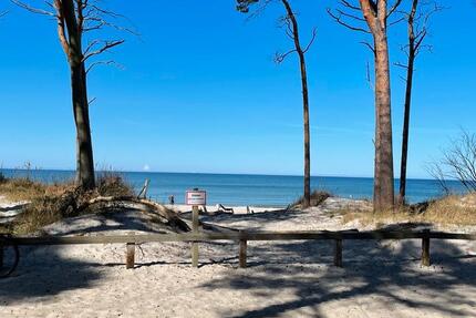 Haus Graal-Müritz Müritz - 5 Zimmer, 180 m&sup2;, 450.000&euro; | Angebot:25874353