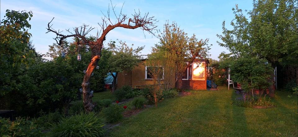 Grundstück Rostock Alt Bartelsdorf - 2.500&euro; | Angebot:24868418