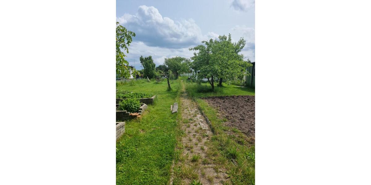 Grundstück Papendorf - 750&euro; | Angebot:25456981