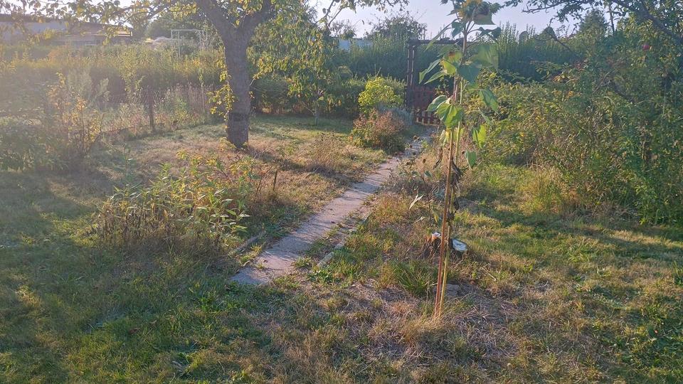 Grundstück Rostock Hohe Düne - 2.500&euro; | Angebot:25723486