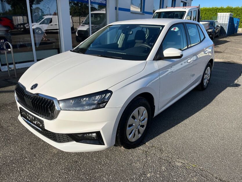 Skoda Fabia 18.401 km 15.990 € Tessin 18195