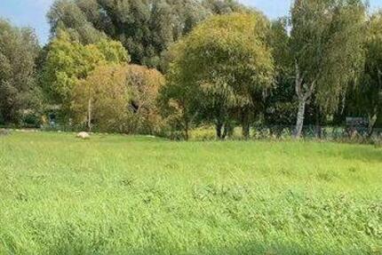 Grundstück Laage - 80&euro; | Angebot:25054912