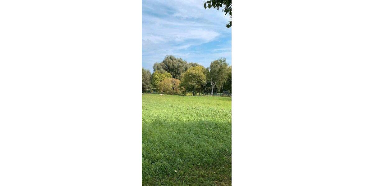 Grundstück Laage - 80&euro; | Angebot:25054912