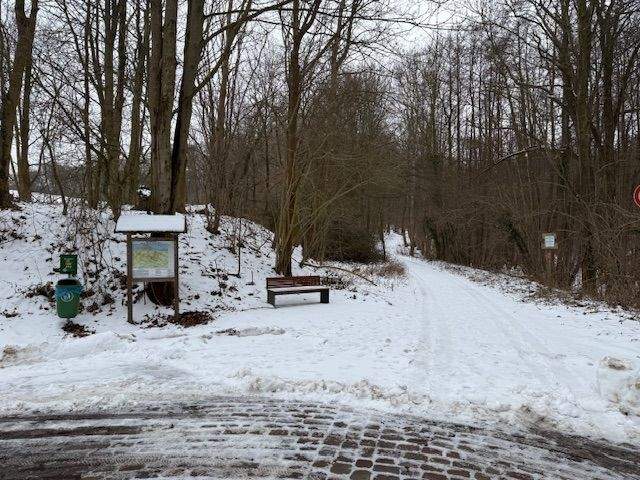 Grundstück Wittenbeck - 980.000&euro; | Angebot:25820276