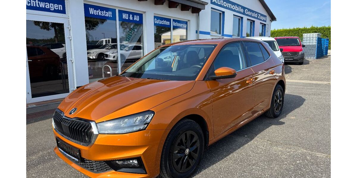 Skoda Fabia 13.852 km 19.990 &euro; Tessin 18195