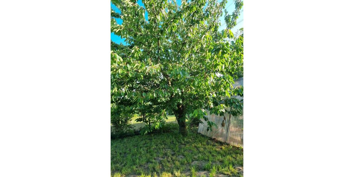 Grundstück Rostock Hansaviertel - 2.800&euro; | Angebot:26677694