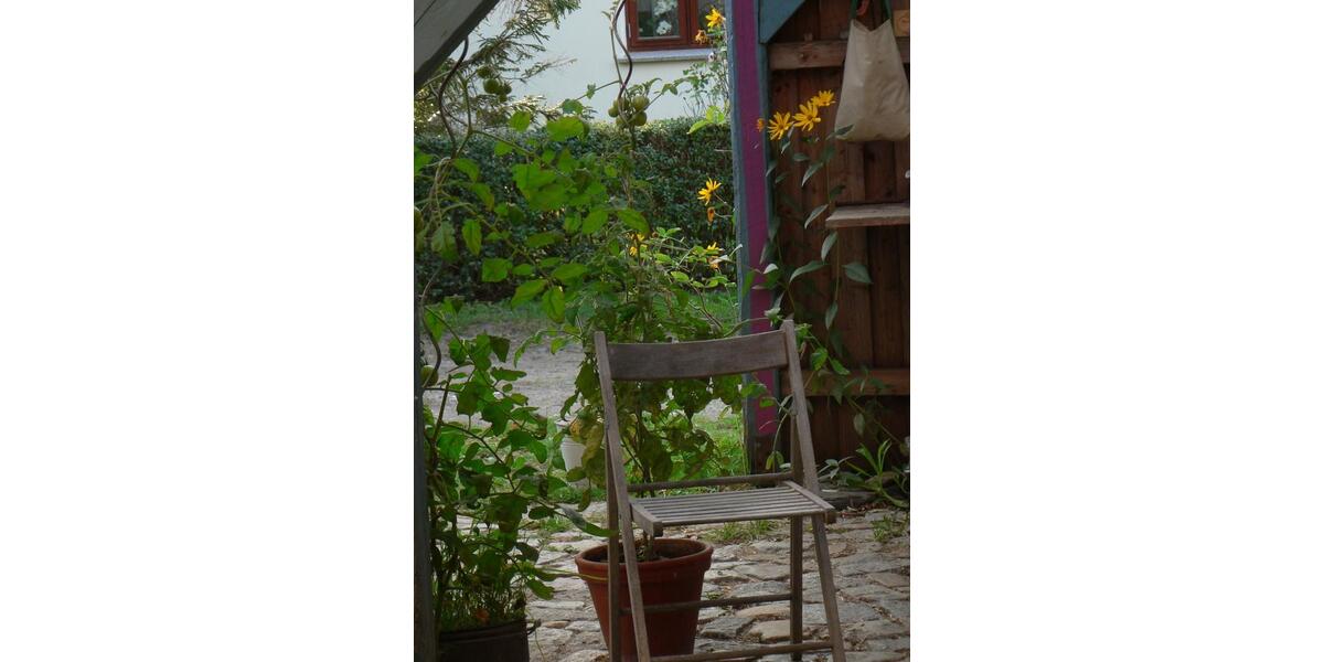 Wohnung in Rethwisch 2 zimmer