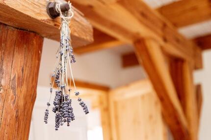 möblierte Studenten WG in der KTV 1 zimmer