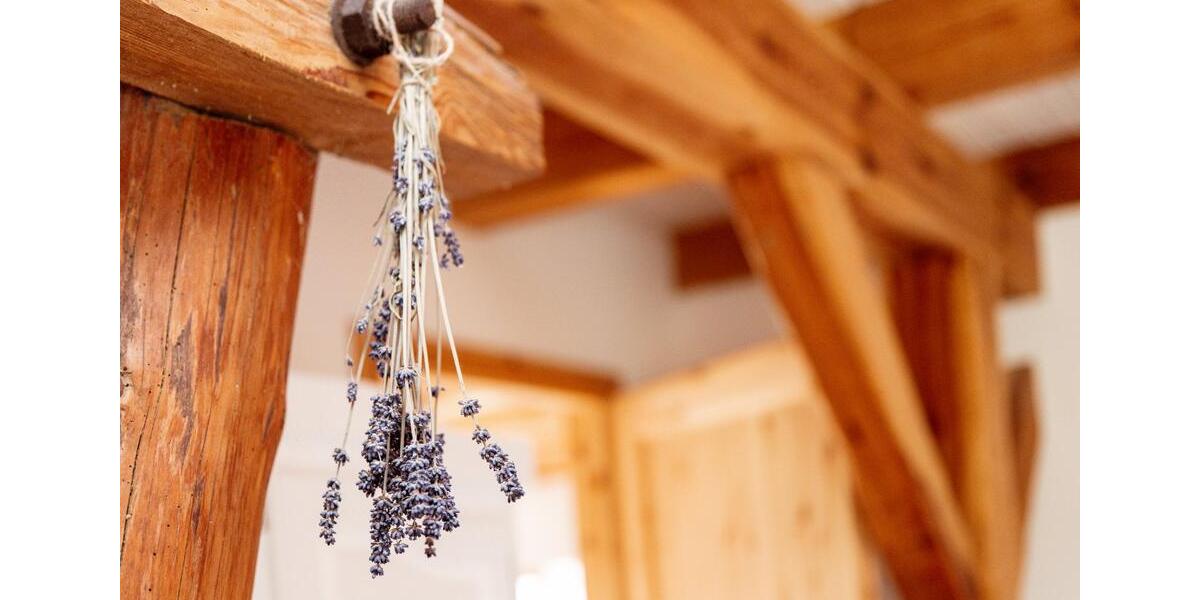 möblierte Studenten WG in der KTV 1 zimmer