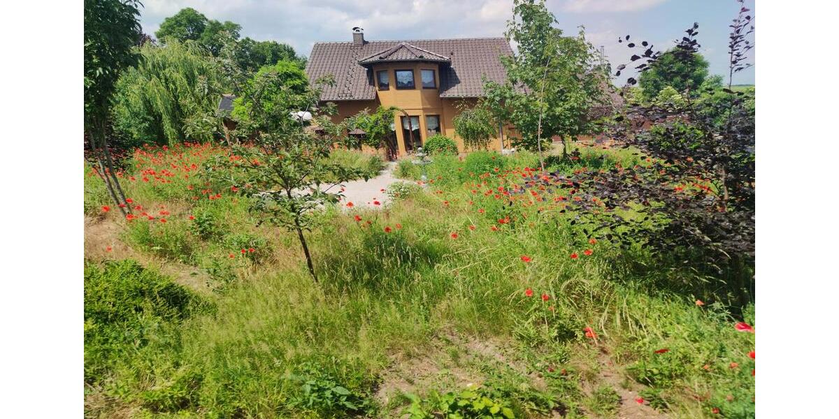 Einfamilienhaus Schwaan - 6 Zimmer, 185 m&sup2;, 549.999&euro; | Angebot:25655670