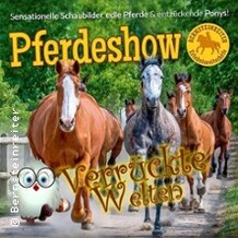 Pferdeshow - Verrückte Welten 2025