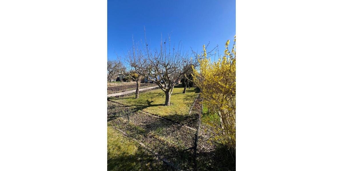 Grundstück Rostock Groß-Klein - 4.300&euro; | Angebot:26040245