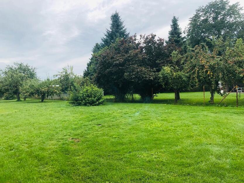 Zuhause ruhige Lage dennoch zentral, ohne Provision zimmer
