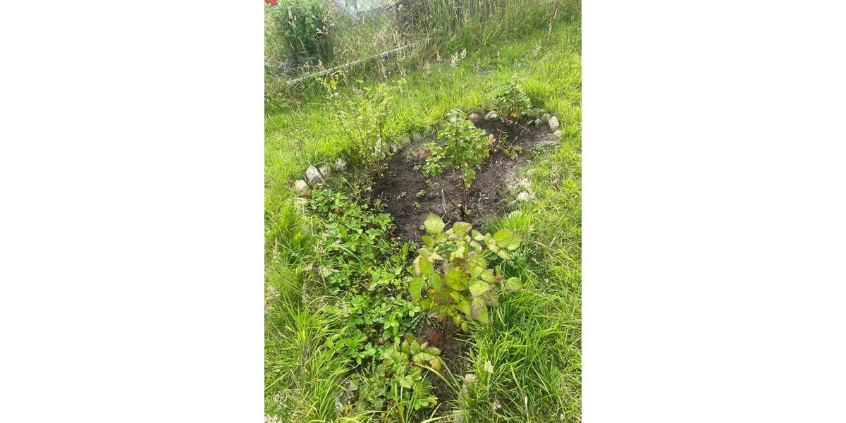 Grundstück Papendorf - 750&euro; | Angebot:25456981
